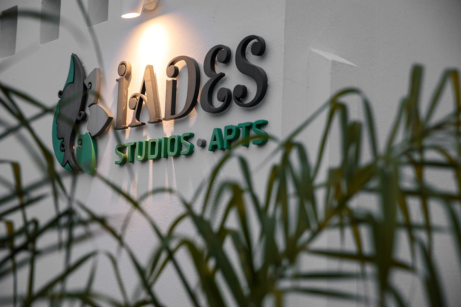 Iades Hero Image